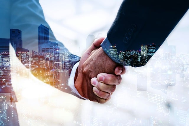 Consulting Services